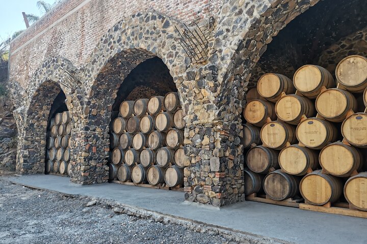 The Fire TOUR - Pyramids, Volcanoes, Agaves & Tequila