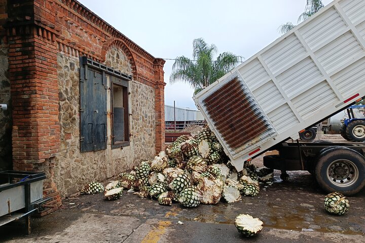 The Fire TOUR - Pyramids, Volcanoes, Agaves & Tequila