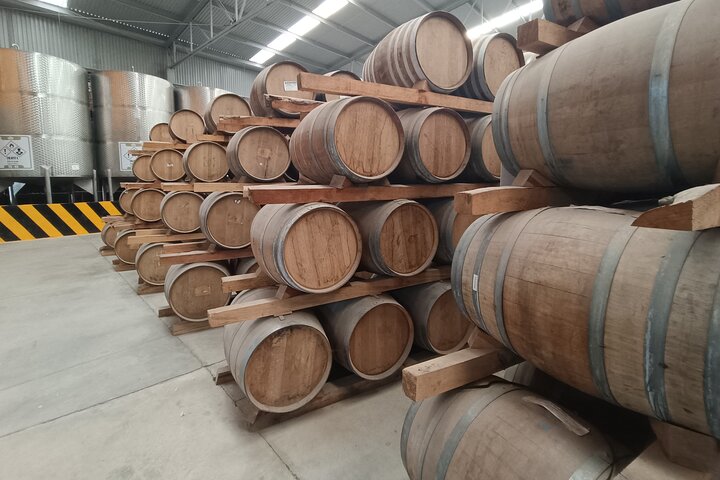 The Fire TOUR - Pyramids, Volcanoes, Agaves & Tequila
