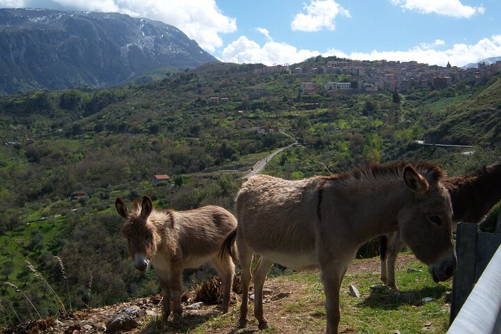 Full Day Private Tour in Medieval Villages and Vineyard in Cefalù