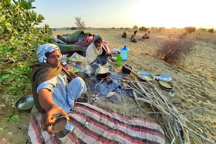 Nomadic Non-Touristic Overnight Tour & camel Safari