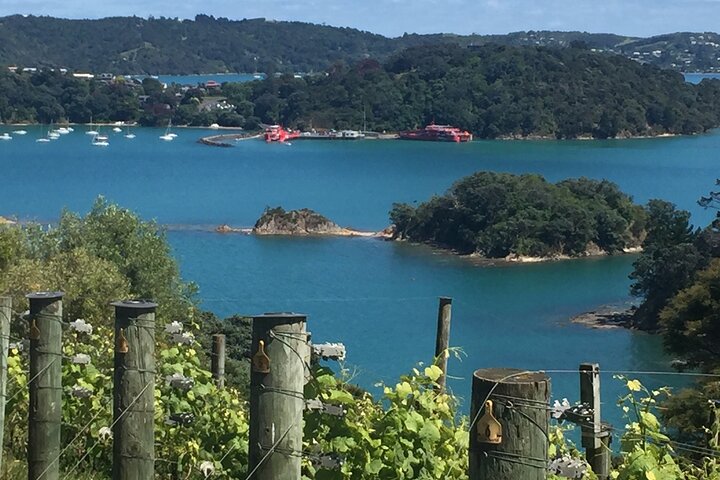 The Boutique Experience: Waiheke Best Cellar Tour (11 guests max)