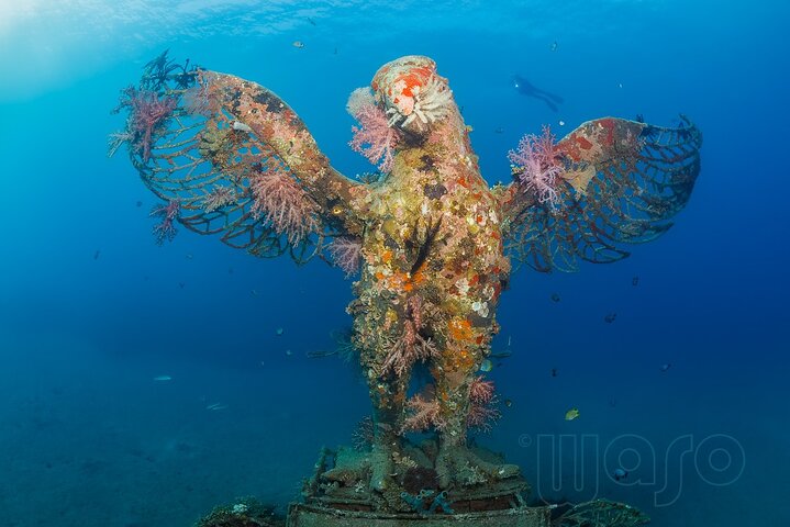 Try Dive Program in the Biorock Pemuteran