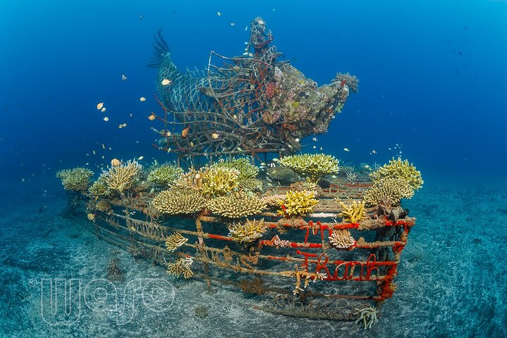 Try Dive Program in the Biorock Pemuteran