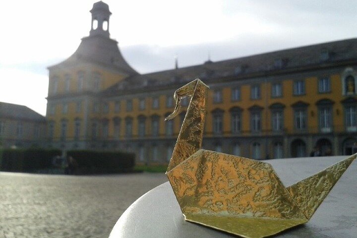 Private city tour Bonn - City Highlights