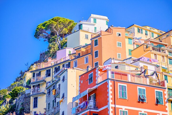 Cinque Terre Day Trip with Transport from Montecatini