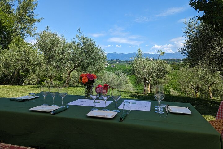 All inclusive Private Prosecco Hills Tour - 2 Wineries and Lunch.