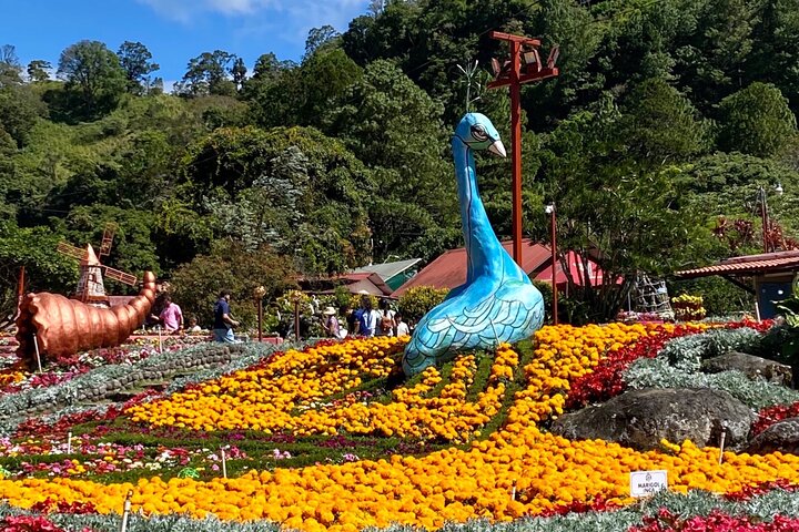 Boquete Adventure - E-Bike Tour (2 hrs.) (2 Person Min.)