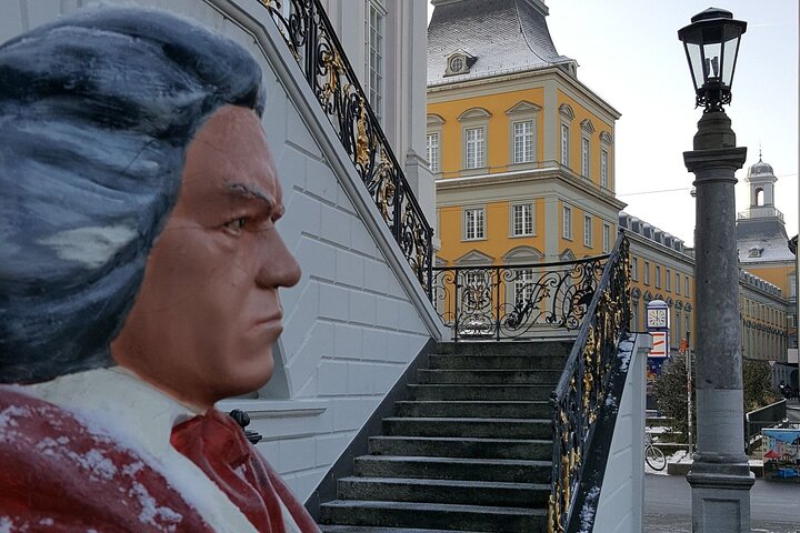 Private city tour Bonn - City Highlights