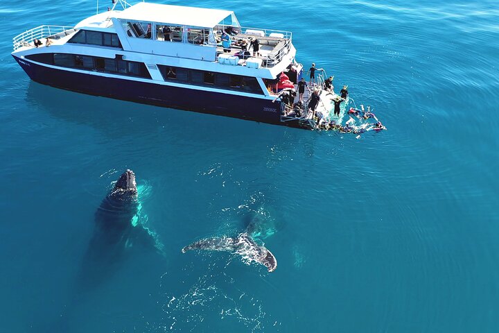 Remote K'gari (Fraser Island) & Whale Experience