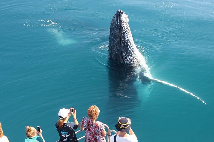 Remote K'gari (Fraser Island) & Whale Experience