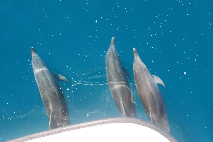 Remote K'gari (Fraser Island) & Whale Experience