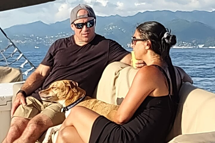 4-hour snorkel cruise to Underwater Sculptures with boat dogs