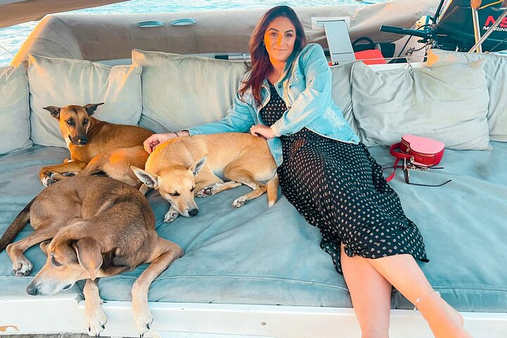 4-hour snorkel cruise to Underwater Sculptures with boat dogs