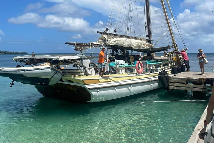 4-hour snorkel cruise to Underwater Sculptures with boat dogs
