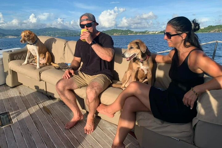 4-hour snorkel cruise to Underwater Sculptures with boat dogs