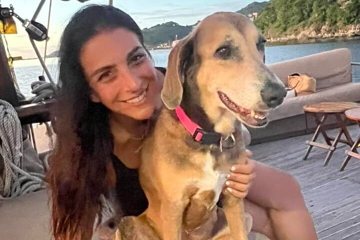 4-hour snorkel cruise to Underwater Sculptures with boat dogs