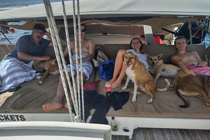 4-hour snorkel cruise to Underwater Sculptures with boat dogs