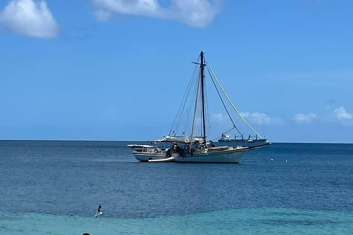 4-hour snorkel cruise to Underwater Sculptures with boat dogs
