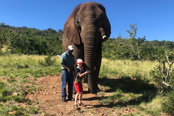 Elephant Sanctuary Tour from Johannesburg