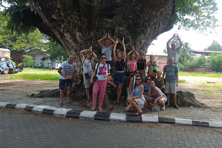 Tuk Tuk Kochi Tours with pickup from Cruise Ship