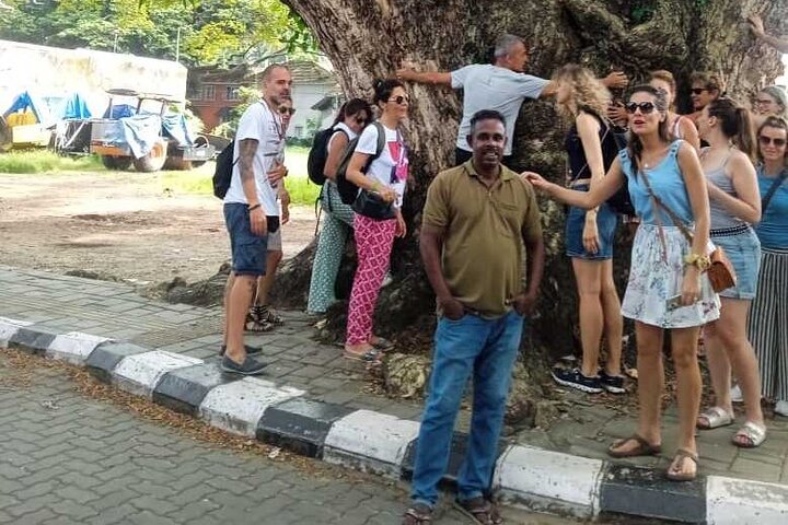 Tuk Tuk Kochi Tours with pickup from Cruise Ship