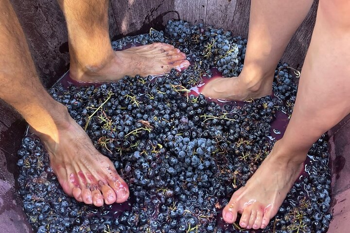 Valencia: Utiel-Requena Cave & Winery Day Trip with Tasting
