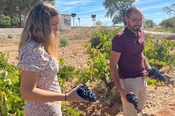 Valencia: Utiel-Requena Cave & Winery Day Trip with Tasting