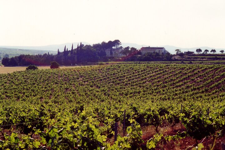 Valencia: Utiel-Requena Cave & Winery Day Trip with Tasting