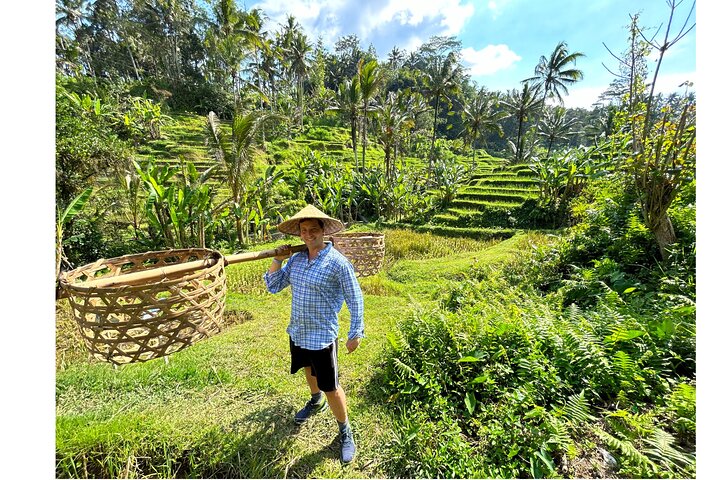Ubud: Zipline, Bali Swing, and Sky Bike in a Private Rice Terrace