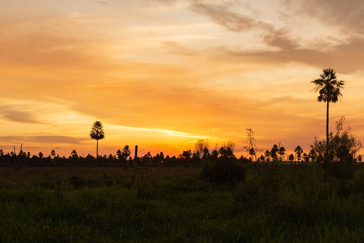 Birding and Nature Chaco Tour