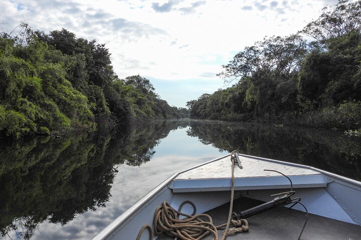 Paraguay River Nature and Wildlife Boat Tour from Asunción