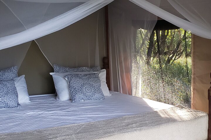1 Night Exclusive Rustic Luxury Safari Camp Nyerere National Park