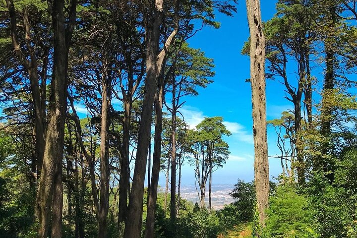 Sintra Private Tour with Tickets: Pena Palace & Moorish Castle