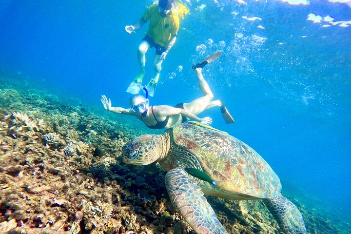 Ko Tao: Vintage Boat - Small Group Snorkeling Day Trip with Meals