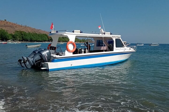 Snorkeling Trip to Menjangan Island