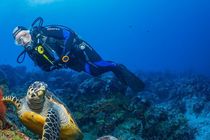 Snorkeling Trip to Menjangan Island