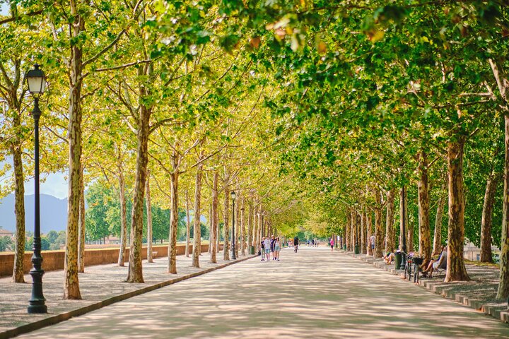 Full-Day Pisa and Lucca Day Trip from Montecatini