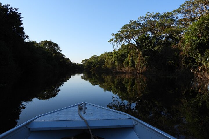 Paraguay River Nature and Wildlife Boat Tour from Asunción