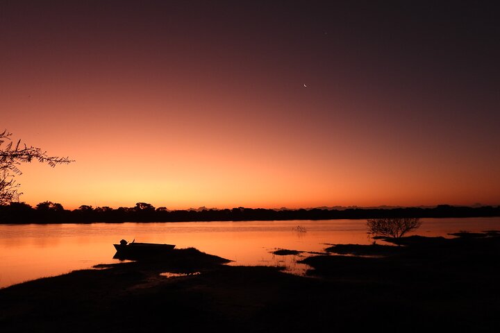 Paraguay River Nature and Wildlife Boat Tour from Asunción