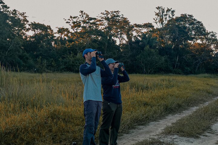 Birding and Nature Chaco Tour