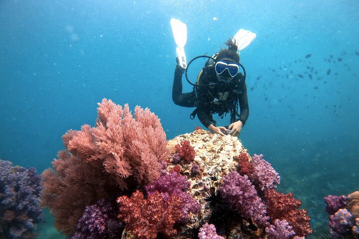 2 Fun Divers for Certified Divers in Thailand