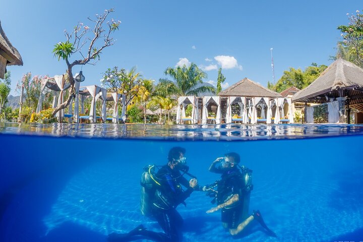 Try Dive Program in the Biorock Pemuteran