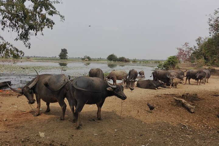 Two Days Angkor Wat Park-Beng Mealea and Kampong Phluk Village