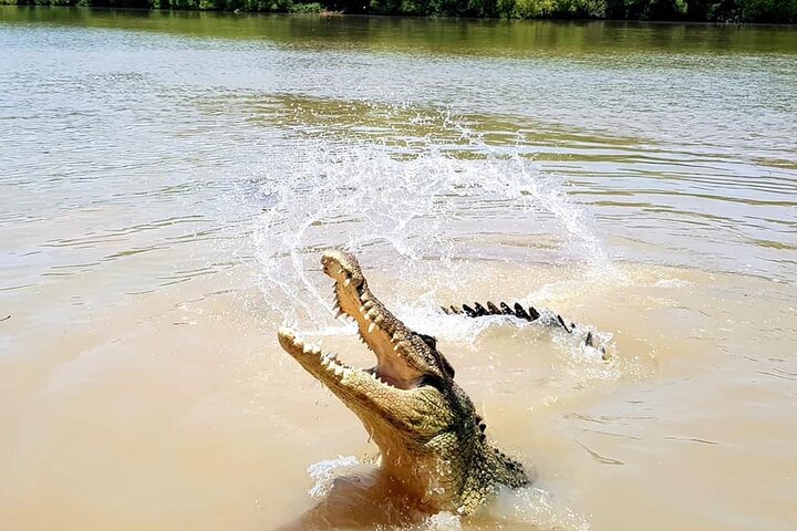 Adelaide River Cruises - Jumping Crocodile Experience