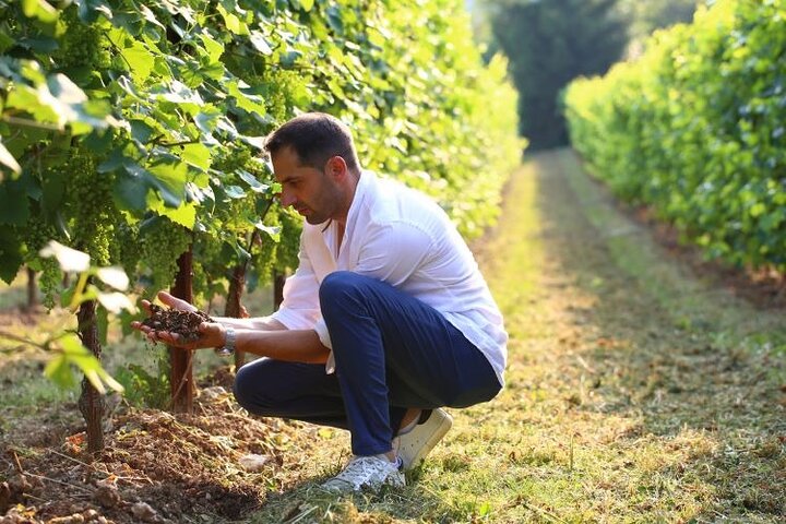 Tour and tasting in the hills of Prosecco Superiore DOCG