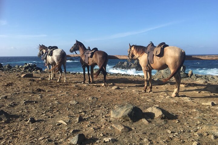 Horseback Ride Tour to Natural Pool in Arikok National Park