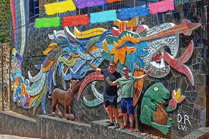 4 or 6Hr Discover Acapulco With a Fun Guide, Diver Show,Mex Lunch