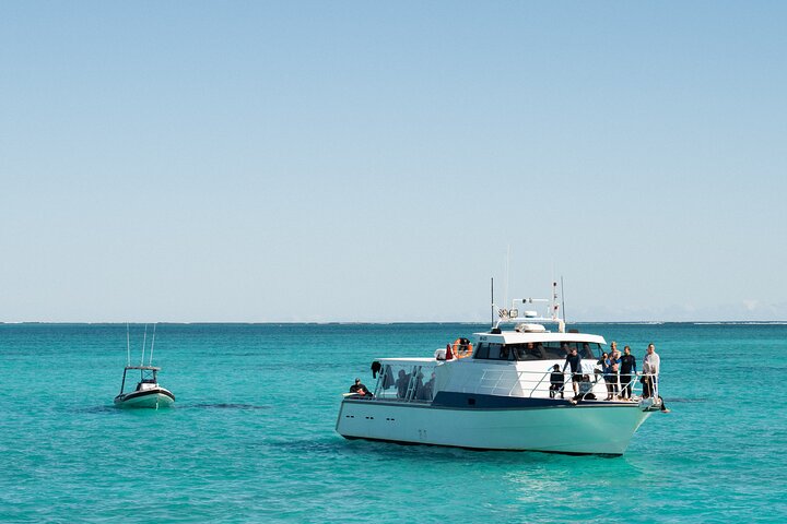 Whale Shark and Ningaloo Reef (Shoulder Season) Tour in Exmouth