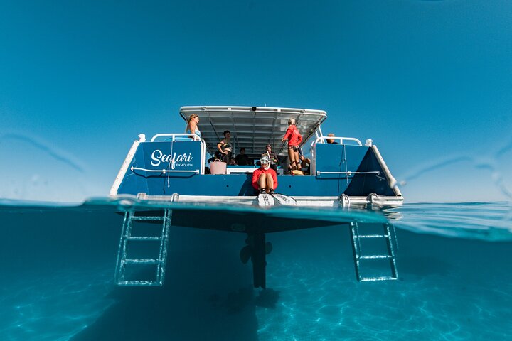 Whale Shark and Ningaloo Reef (Shoulder Season) Tour in Exmouth